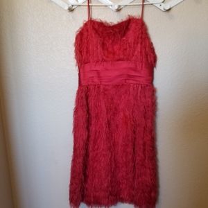 Little (fuzzy) red dress